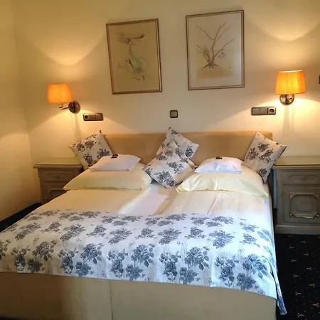 Edelweiss Garni Hotel 4*